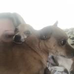 Stephanie Profile Picture