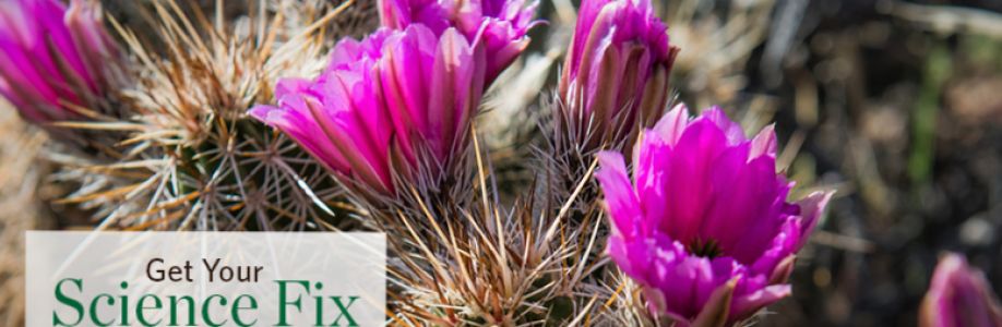 Charlene Stevens Cover Image