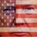 Donna Wilson Profile Picture