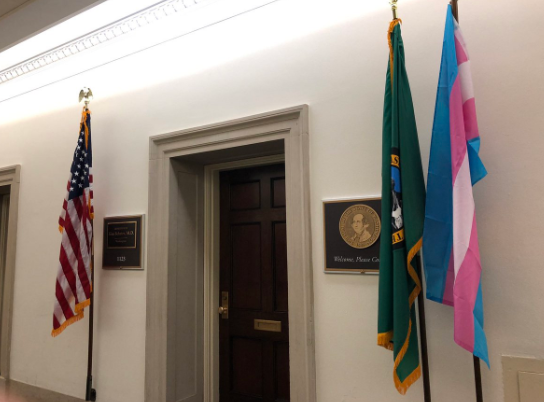 Dems replace POW/MIA flags with transgender pride flags to protest Trump military ban | Fox News