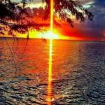 Deborah Coffman Profile Picture