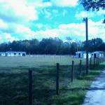 Linda Crow Profile Picture