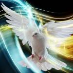 Maria Garcia Profile Picture