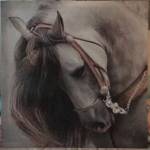 Wendy Arthur Profile Picture