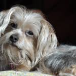 Barbra_Porter Profile Picture