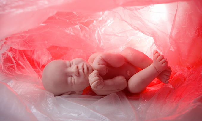 Democrats block bill against infanticide 25 times – GOPUSA
