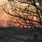 NaniCharley Profile Picture