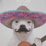 Michael Perreault Profile Picture