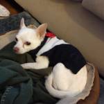 Tricia Garvich Profile Picture