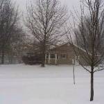 Kathy Bowler Profile Picture