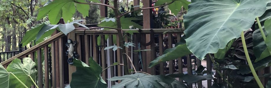 Nancy Roberts Cover Image