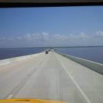 Morris Cohn Profile Picture