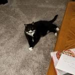 dcrane Profile Picture