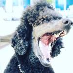 FreeDoc Profile Picture