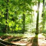 ANDLAW42 Profile Picture