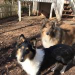 Paula Lareau Profile Picture