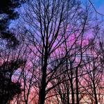 WendyWilliams Profile Picture