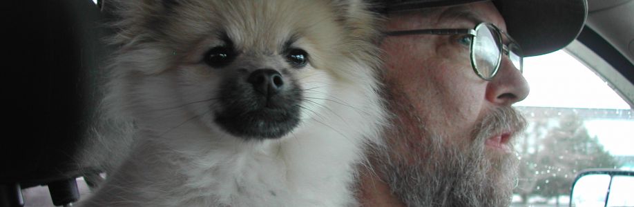 steve ramsay Cover Image