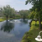 Tammy Osnoe Profile Picture