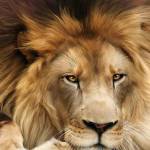 Kadeah Wade Profile Picture