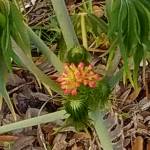 Phil Barr Profile Picture