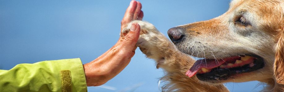PawsPartners.org Cover Image