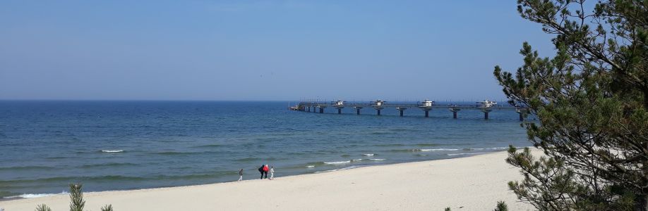 Ted Juchniewicz Cover Image