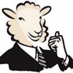 The Daily Sheeple Profile Picture