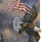 Barb White Profile Picture