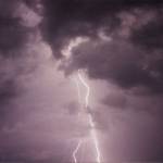 John Carmany Profile Picture