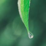 kayenre tech Profile Picture