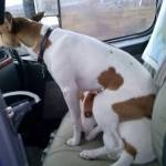 KimPridgen Profile Picture