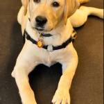 Randy Patrick Profile Picture