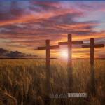 GLEN ASHWORTH Profile Picture