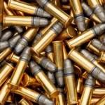 Jackie Young, Proud LEGAL American Profile Picture