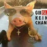 Schickelgruber Profile Picture