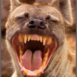 Thomas Bothe Profile Picture