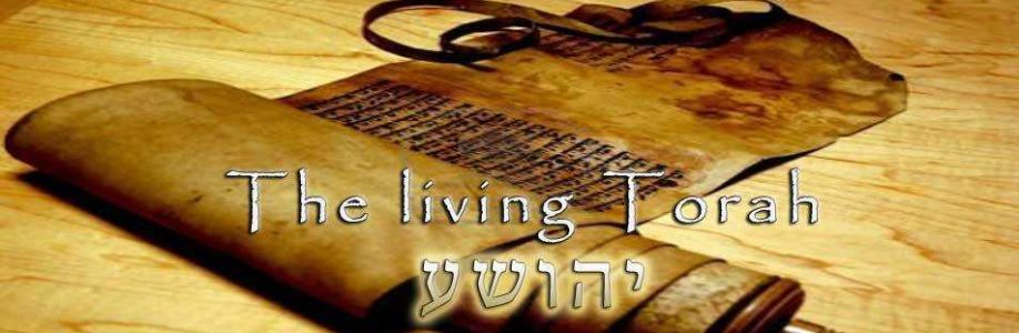 Torah Believers Cover Image