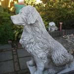 jackistrots Profile Picture