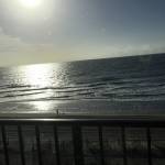 Susan Taylor Profile Picture