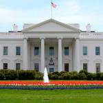 Ulrich Knuchel Profile Picture