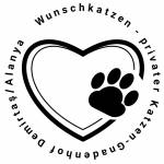 Wunschkatzen profile picture