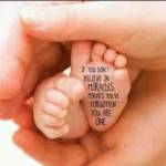 Beverly Whitehead Profile Picture