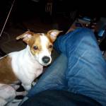 KlaasRohling Profile Picture