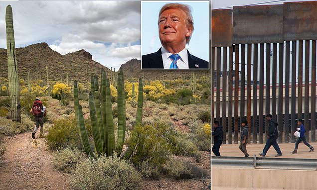 Trump will build his wall through a national monument and a wildlife refuge home to 275 species | Daily Mail Online