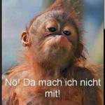 derenmann Profile Picture