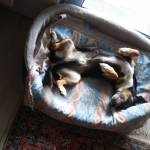 Renrew Profile Picture