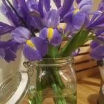 JanHeileman Profile Picture