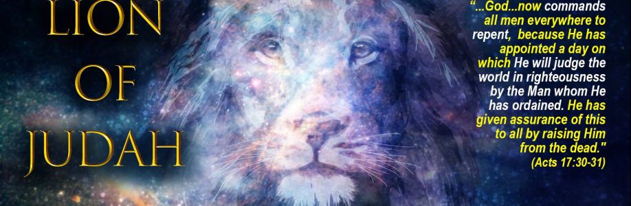 Debbie Whitmer Cover Image