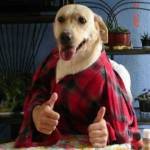 Mark Petersen Profile Picture